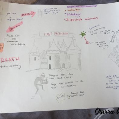 tsa_HomeLearningScience (26)